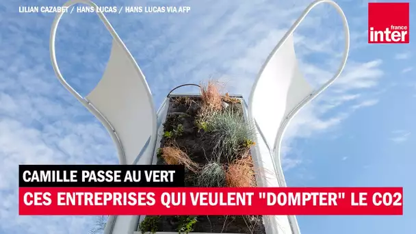 Ces entreprises qui veulent "dompter" le CO2