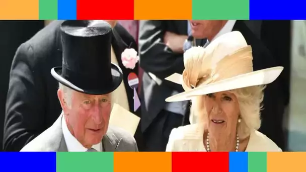 PHOTO – Charles et Camilla  leur supposé fils caché en remet une couche…