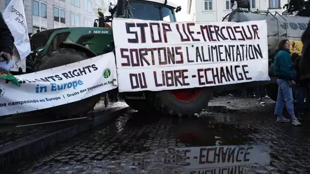 Mercosur: la France peut-elle s'y opposer ? le traité est-il le vrai problème de l'agriculture fr…