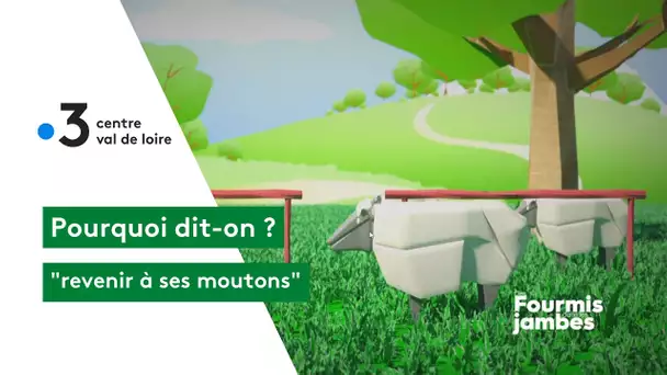 Pourquoi dit-on : revenir à ses moutons !