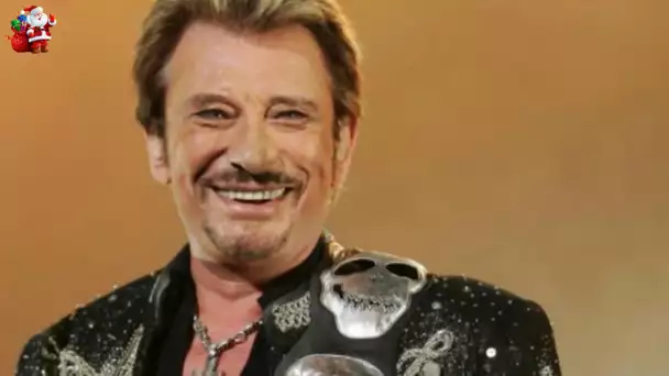 Paris: une gigantesque statue de Johnny Hallyday en attente d'un emplacement