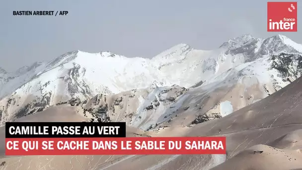 Ce qui se cache dans le sable du Sahara