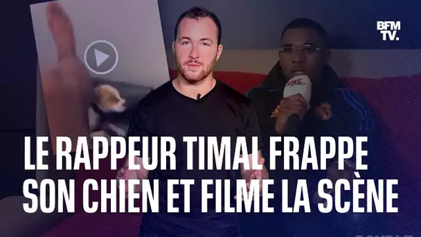 Le rappeur Timal frappe son chien, 30 millions d’amis et Action Protection Animale portent plainte