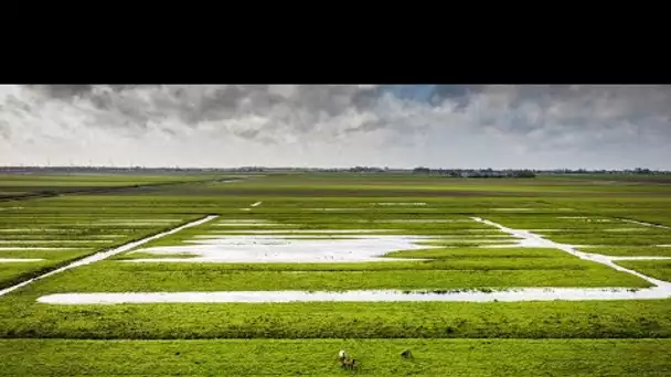 «L'eau ne part pas» : dans le Pas-de-Calais, les champs se transforment en étangs, les cultures s…