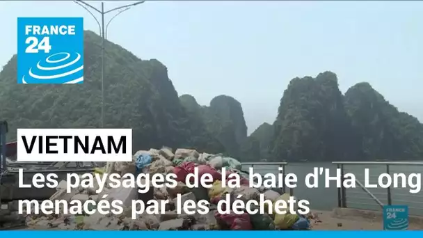 Vietnam : les paysages de la baie d'Ha Long menacés par les déchets • FRANCE 24