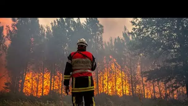 Incendies en Gironde : des milliers de personnes évacuées, plus de 10 000 hectares détruits