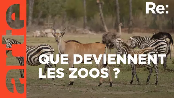 Les zoos de demain | ARTE Regards