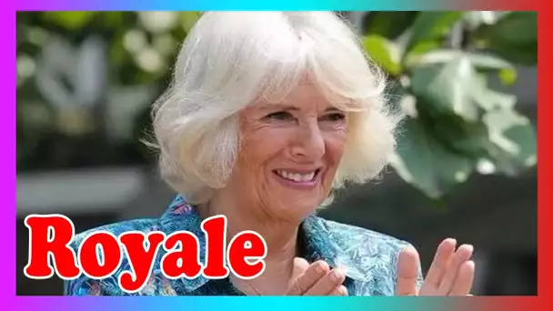 Camilla dévoile ses plans pour le 75e annivers@ire et refuse le souhait ''plutôt effrayant''