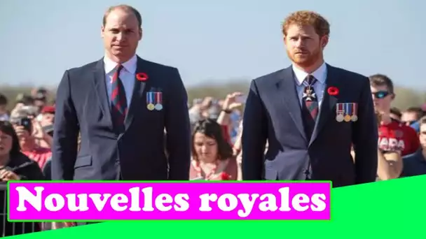 Le prince Harry ne réparera pas la querelle avec le prince William en raison des mémoires à venir, s