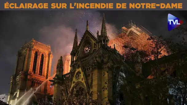 Perles de Culture n°214 : l&#039;éclairage de G. de Thieulloy sur l&#039;incendie de Notre-Dame