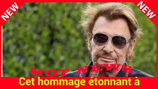 Cet hommage étonnant à Johnny Hallyday qui pourrait voir le jour