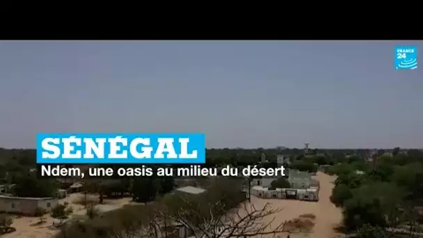 Sénégal : Ndem, une oasis au milieu du désert