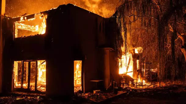 Incendies en Grèce : «La situation est terrible» confesse ce Français installé dans le pays