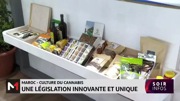 Maroc-culture du cannabis: une législation innovante et unique