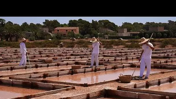 Fleur de sel, sobresada, fromage Mahón : produits emblématiques des îles Baléares