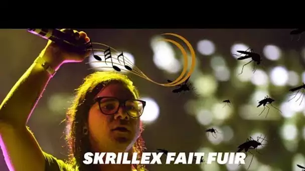 Skrillex pourrait vous protéger des attaques de moustiques