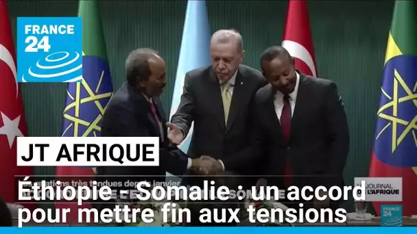 Éthiopie-Somalie: un accord obtenu par la Turquie mettant fin aux tensions • FRANCE 24