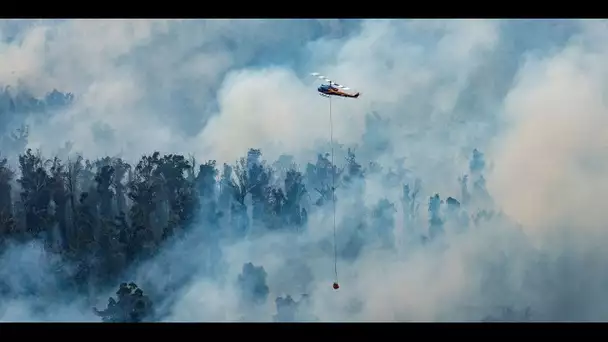 Incendies en Australie : 30.000 personnes bloquées dans le Sud-Est du pays