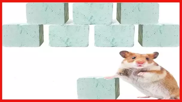 Rat Lava Block Chew Toy,Chinchilla Bites Calcium Cubes Stone for Grinding Teeth,Hamsters Supplies