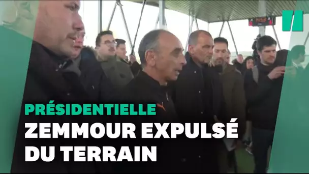 Zemmour et son équipe virés d'un terrain de foot créé par Zidane