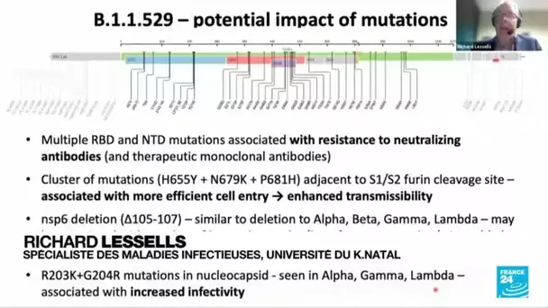 Nouveau variant du Covid-19 détecté : un variant potentiellement très contagieux • FRANCE 24