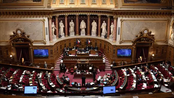 Réforme des retraites : journée déterminante au Sénat avec l'étude de l'article 7