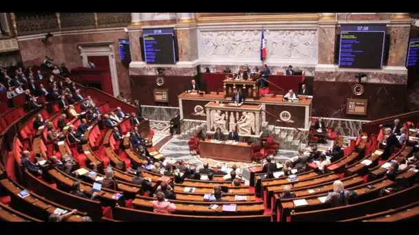 L'Assemblée met fin à la séance après une interpellation raciste dans l'hémicycle