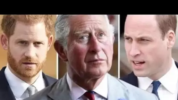 Royal Family LIVE: William est «en colère» et Charles est «triste» – Harry a averti avant la visite