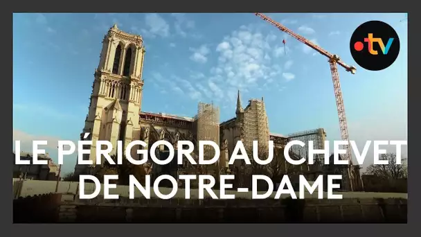 Le Périgord au chevet de Notre-Dame-de-Paris