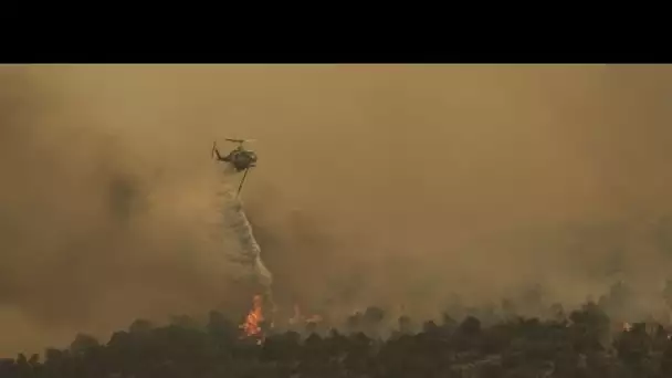 Incendies en Grèce : des pompiers européens en renfort face à une "énorme bataille"