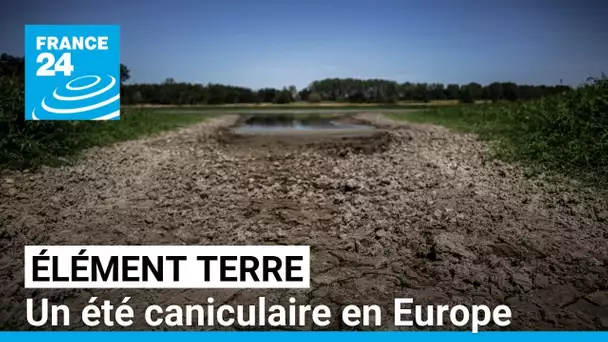 Un été anormalement chaud s'abat sur l'Europe • FRANCE 24