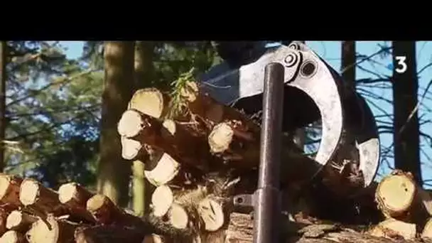 Saône-et-Loire : des agriculteurs se reconvertissent dans les métiers du bois