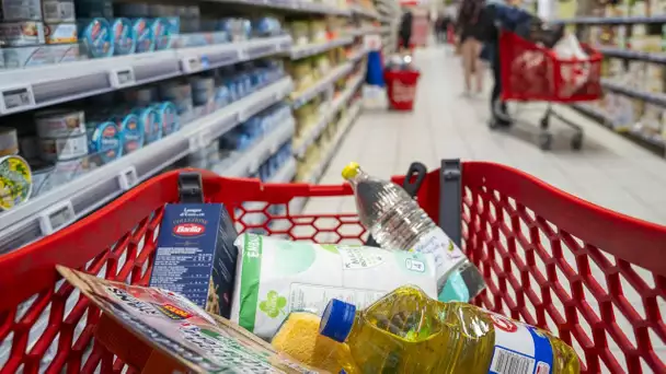 Inflation alimentaire : mauvaise surprise, les prix devraient rester stables dans les supermarché…