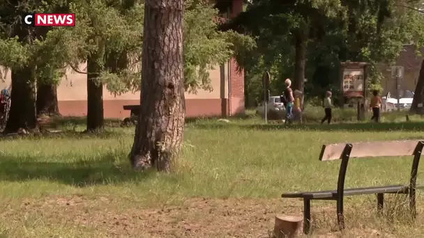 La forêt de Fontainebleau prise d'assaut par les Franciliens