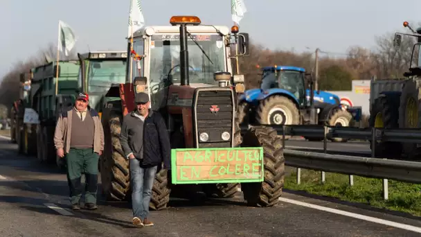 «L'État joue avec le feu» : face aux aides promises toujours absentes, les agriculteurs se mobili…