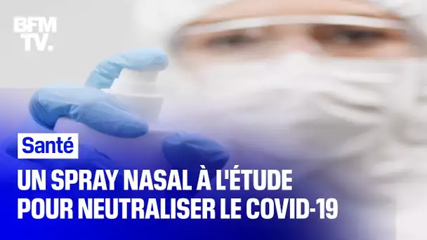 Un spray nasal à l'étude pour neutraliser le Covid-19 avant qu'il nous infecte