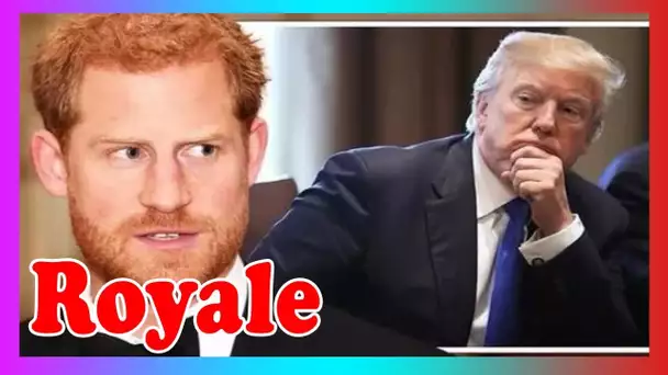 Les Sussex donnent à Trump l'épaule froide alors que Harry lance une nouvelle campagne