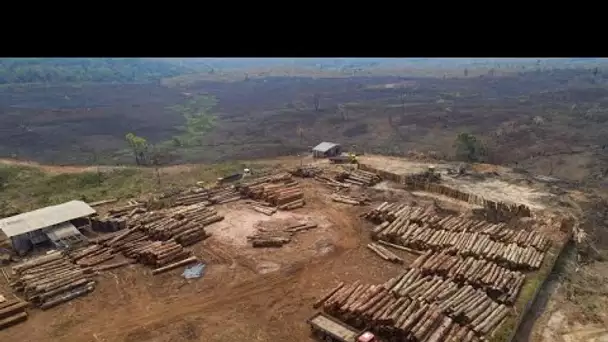 La déforestation s'intensifie en Amazonie brésilienne, malgré les promesses du gouvernement