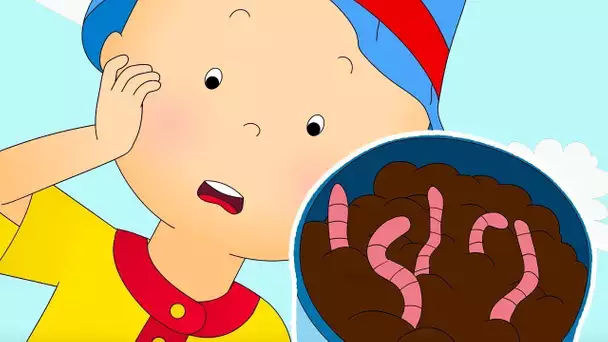 Caillou en Français | La plus grande peur de Caillou | dessin animé en entier | WildBrain