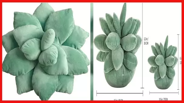 3D Succulents Cactus Pillow, Cute Succulents, for Garden or Green Lovers Baby Green Plant Throw