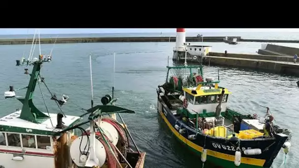 Pêche post-Brexit : la France interdit aux bateaux britanniques de débarquer • FRANCE 24