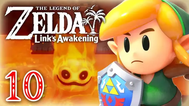 Le bâton de feu | ZELDA LINK'S AWAKENING #10