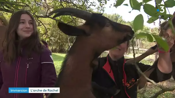 "SOS Animaux de la Ferme" une véritable arche de Noé installée à Excenevex en Haute-Savoie