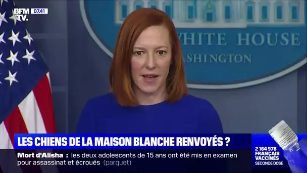 Les chiens de la Maison Blanche renvoyés ?