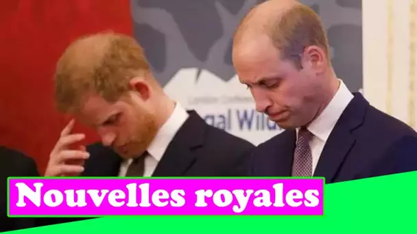 William a essayé de mettre en garde contre le Megxit mais Harry est devenu «me