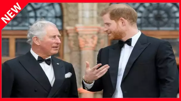 ✅  Le prince Charles : avec Harry, quel constat d'échec !