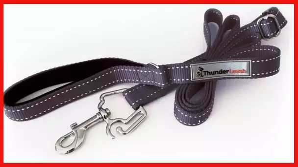 ThunderLeash No-Pull Dog Leash, Small, Black