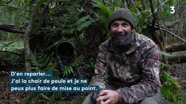 Vincent, le cerf le plus majestueux du Jura dans le viseur d'un photographe