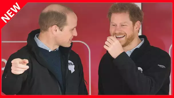 ✅  Le prince Harry puni : son frère William lui souffle une mission chère à son cœur