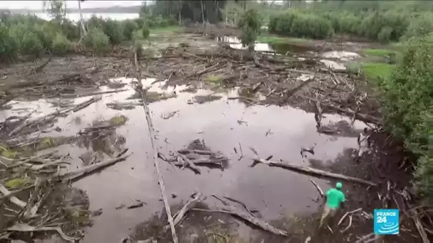 Au Gabon, les défenseurs de l'environnement vent debout contre la destruction des mangroves